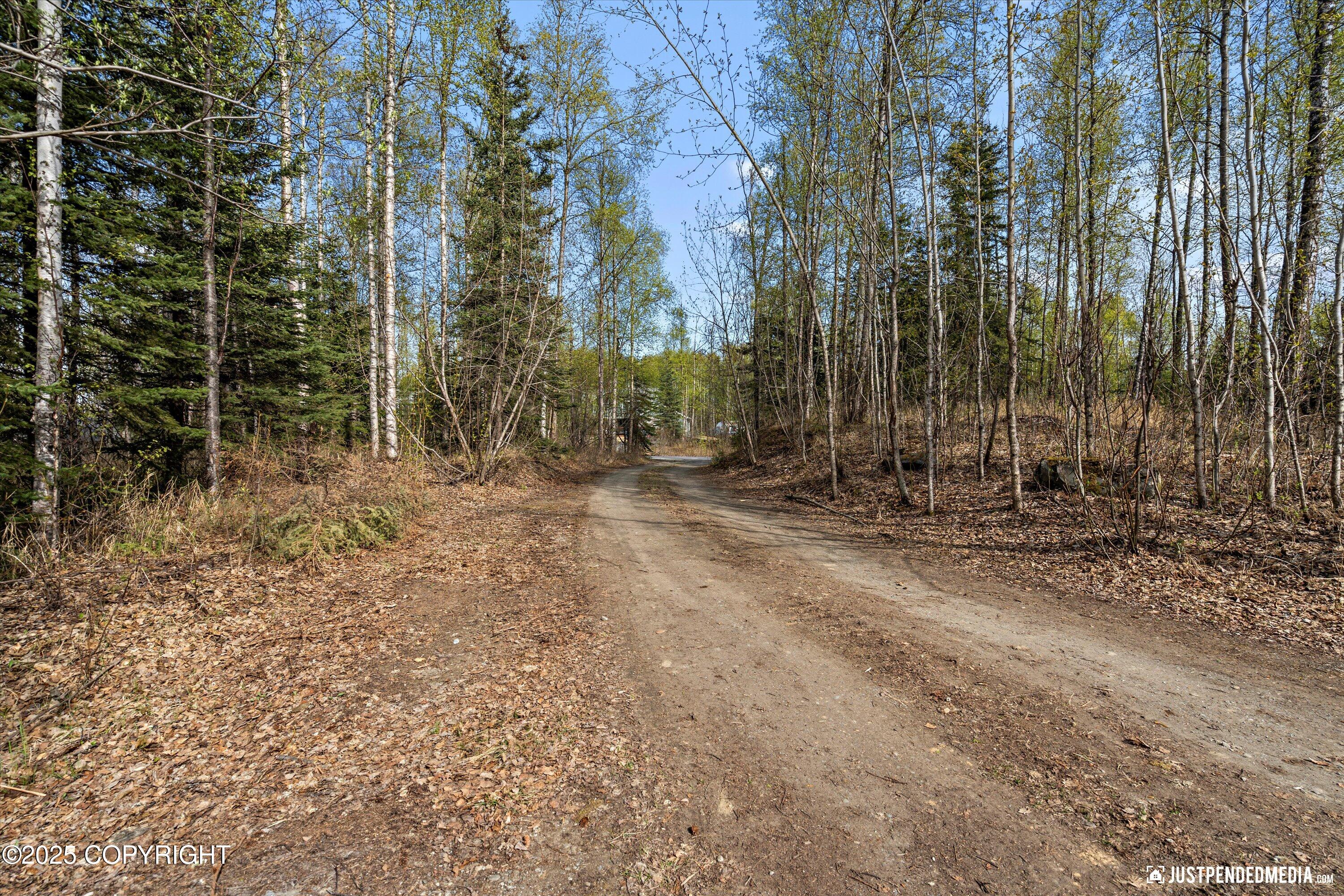 4734 S Timberland Loop, Wasilla, Alaska image 44