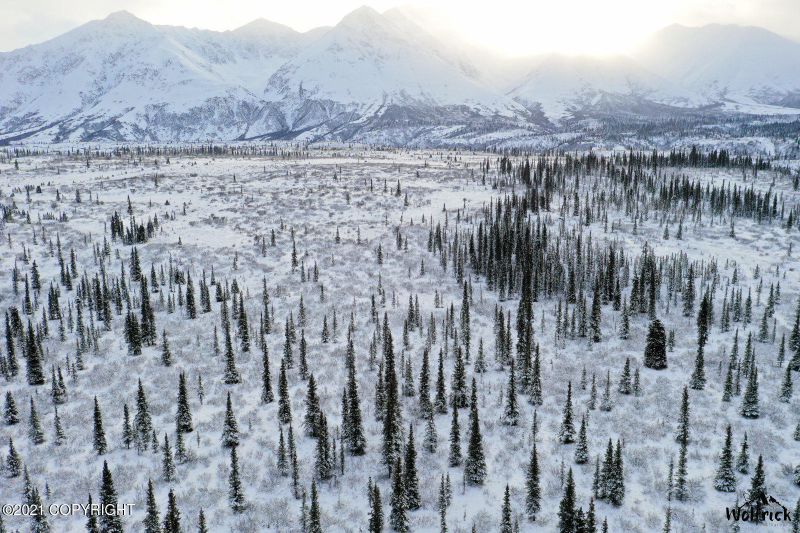 B3-L5 Denali Jack River Canyon, Cantwell, Alaska image 1