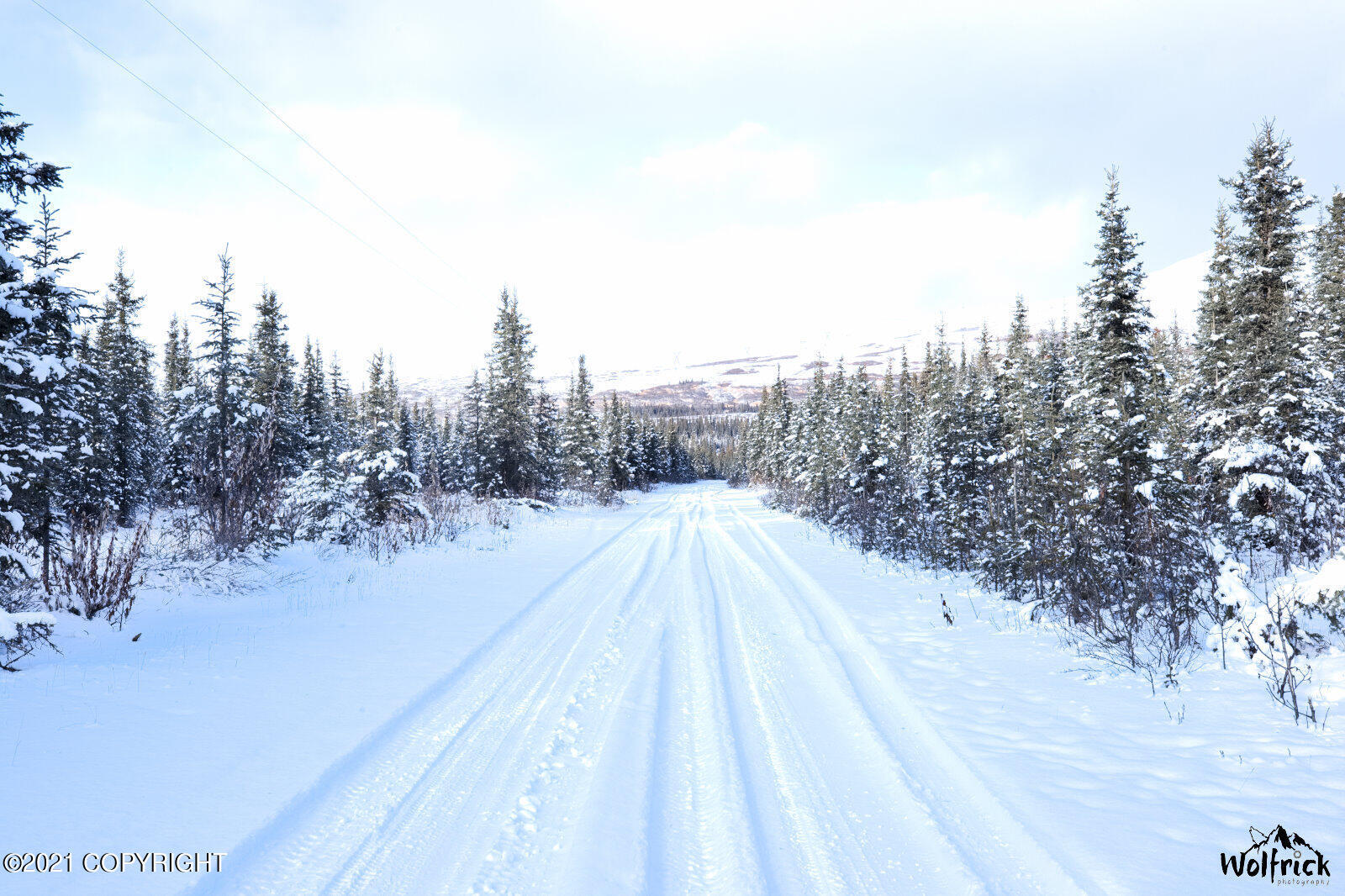 B3-L5 Denali Jack River Canyon, Cantwell, Alaska image 7