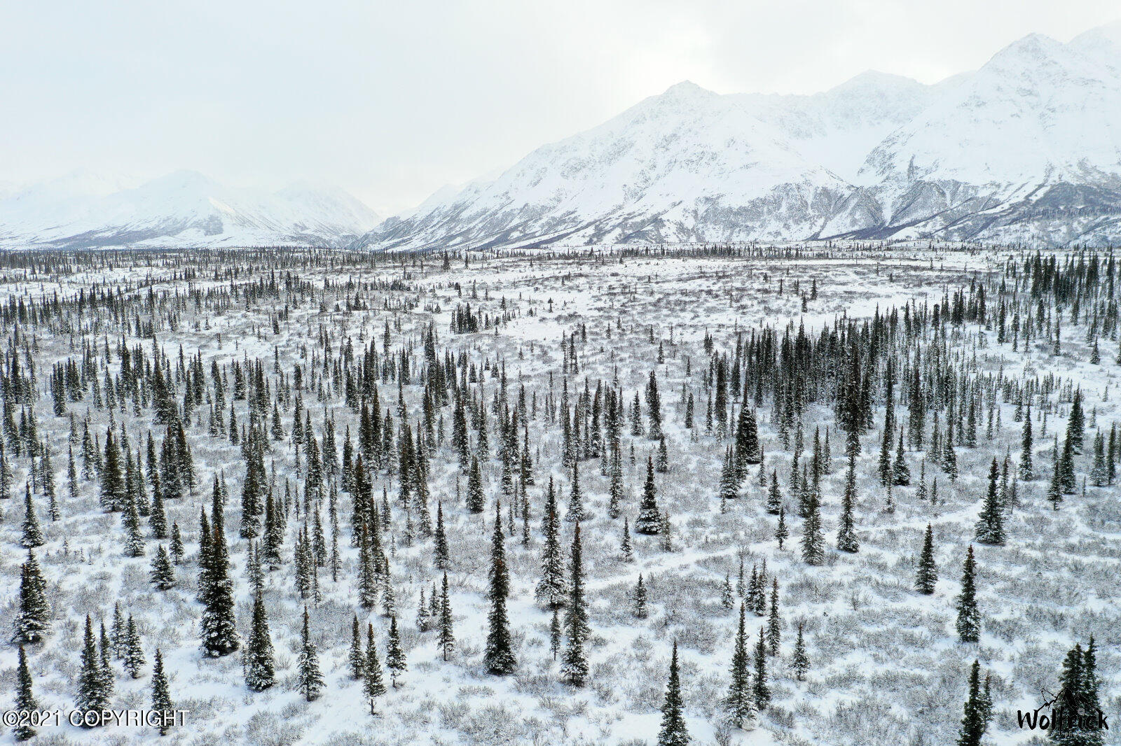 B3-L5 Denali Jack River Canyon, Cantwell, Alaska image 5