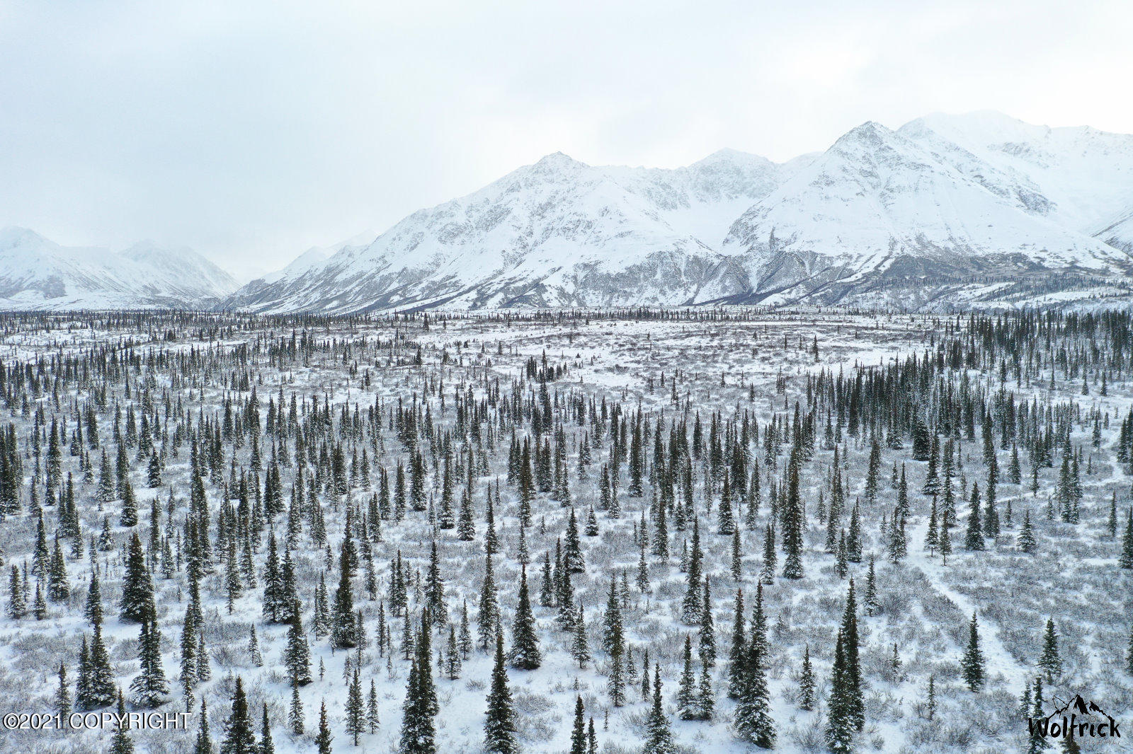 B3-L5 Denali Jack River Canyon, Cantwell, Alaska image 3