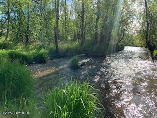 5844 E Fetlock Drive, Wasilla, Alaska image 38