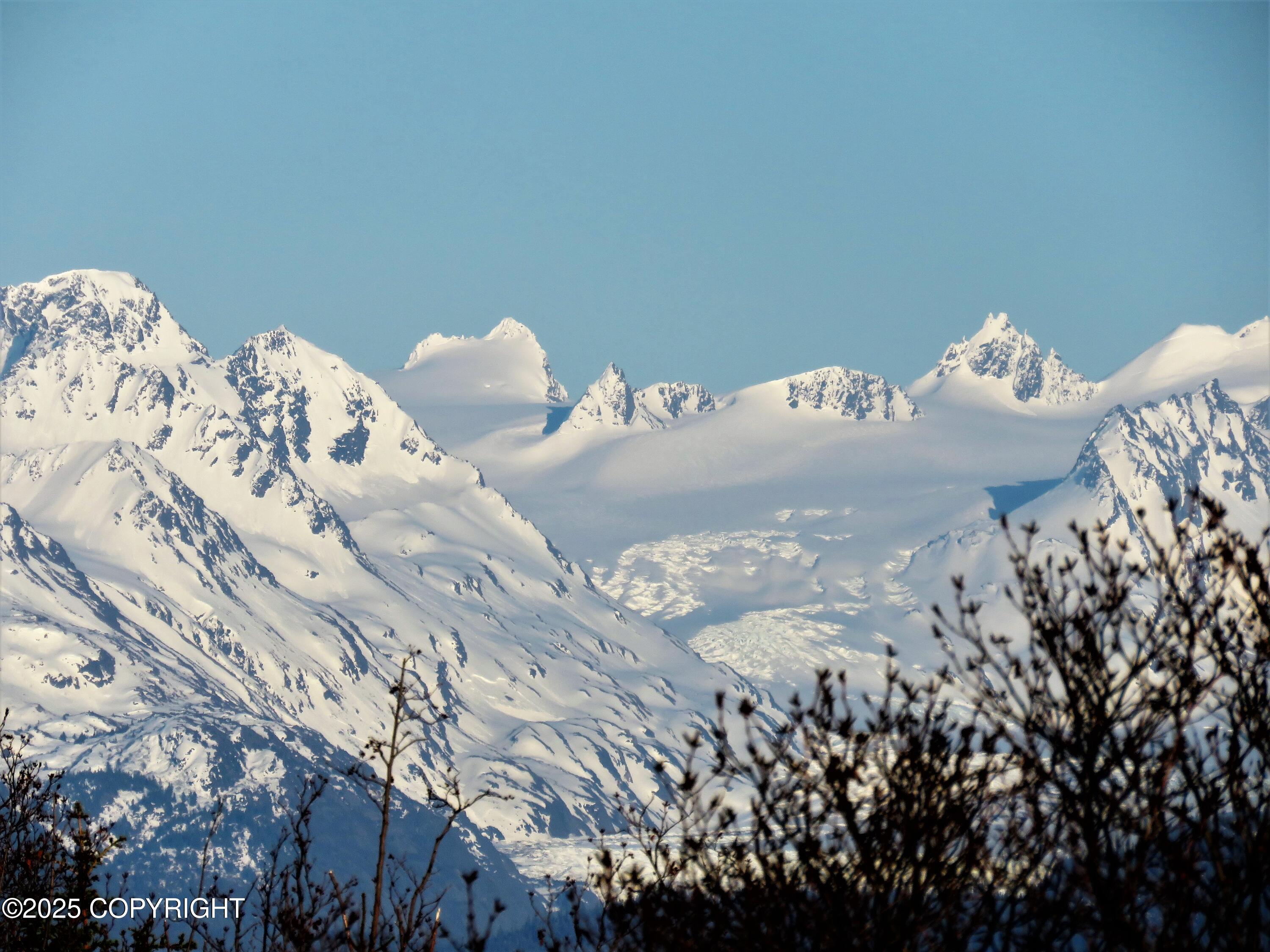 2419 Judy Rebecca Court, Homer, Alaska image 8