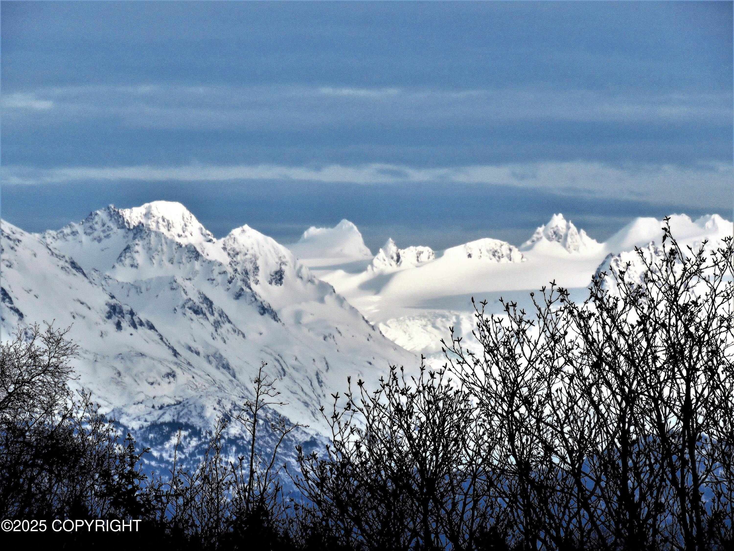 2419 Judy Rebecca Court, Homer, Alaska image 12
