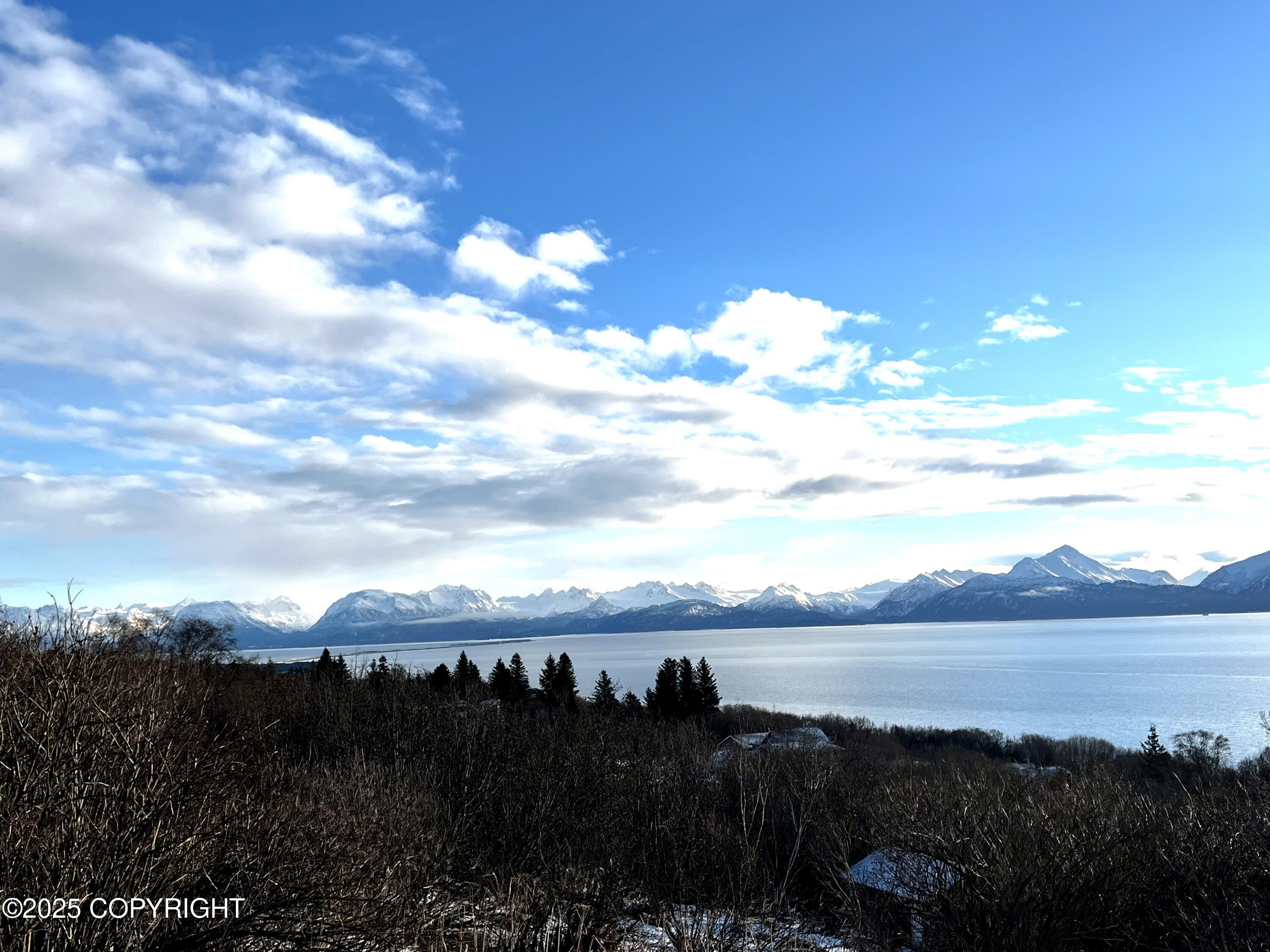 2419 Judy Rebecca Court, Homer, Alaska image 4