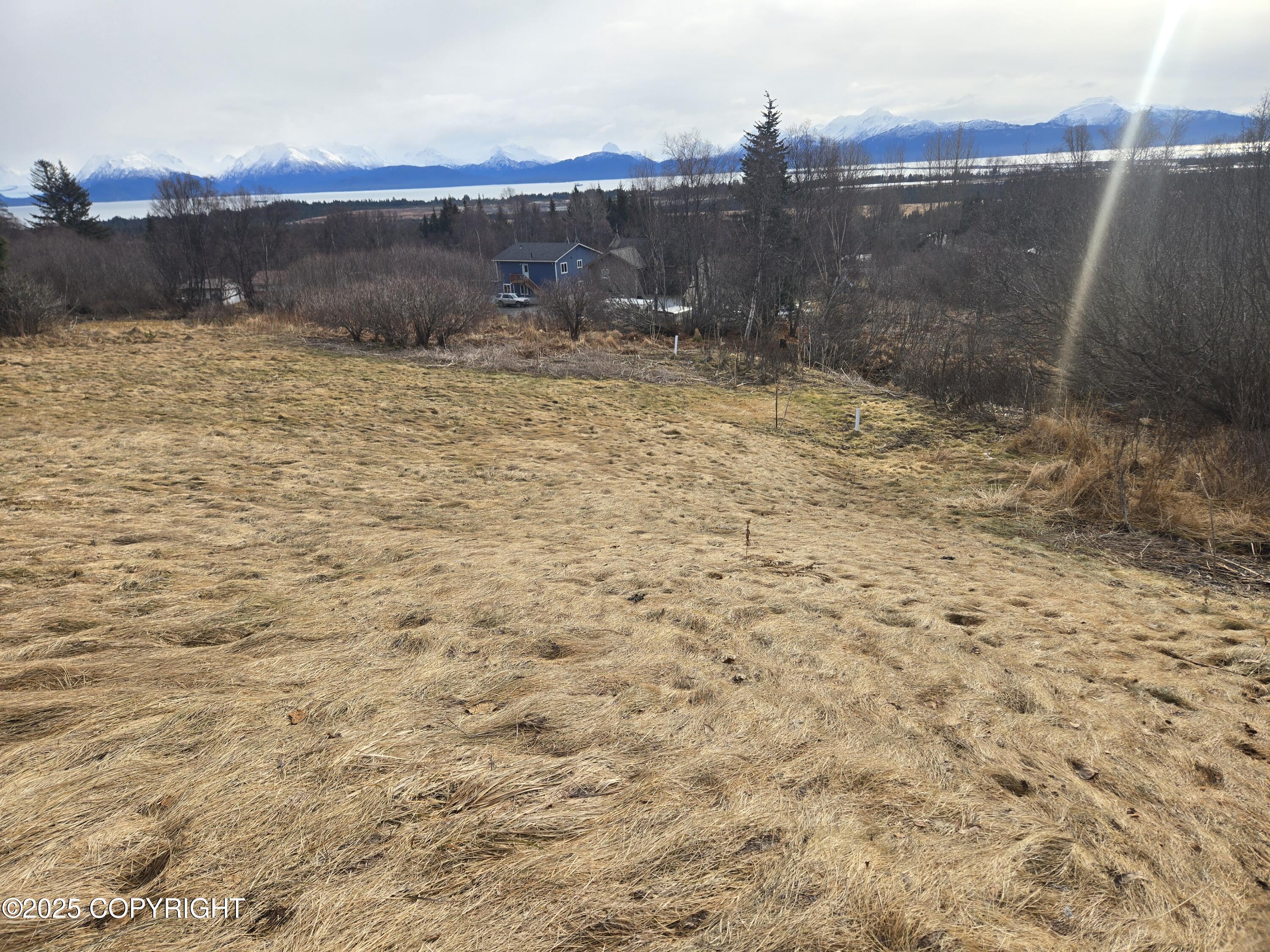 2085 Jakes Little Fireweed Lane, Homer, Alaska image 2