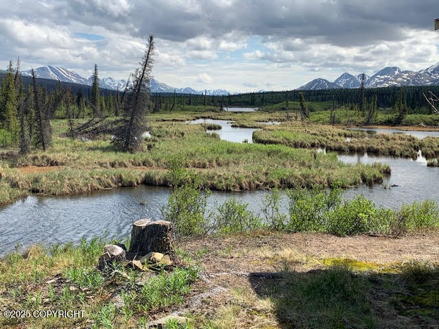 131 Denali Highway, Cantwell, Alaska image 35