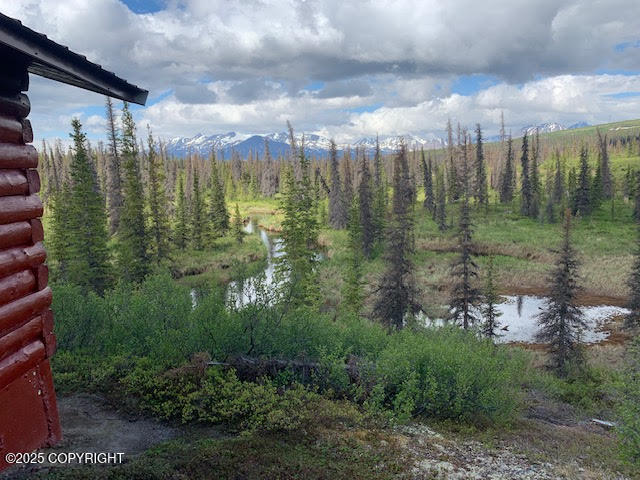 131 Denali Highway, Cantwell, Alaska image 33
