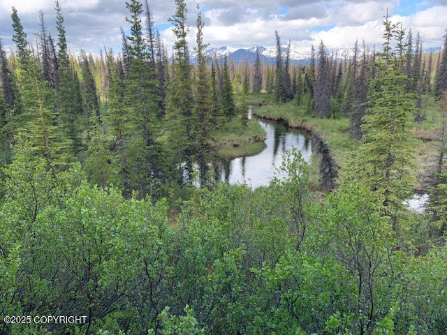 131 Denali Highway, Cantwell, Alaska image 32