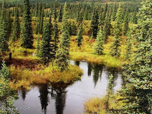 131 Denali Highway, Cantwell, Alaska image 2