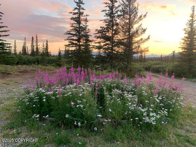 131 Denali Highway, Cantwell, Alaska image 11