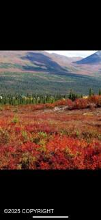 131 Denali Highway, Cantwell, Alaska image 39