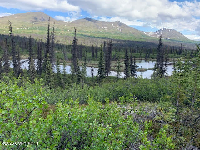 131 Denali Highway, Cantwell, Alaska image 31