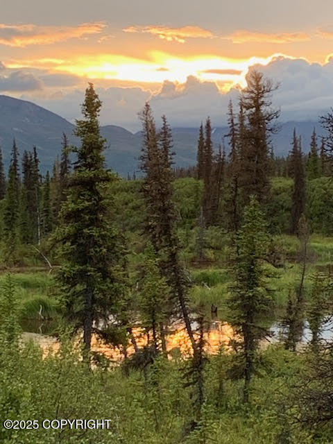 131 Denali Highway, Cantwell, Alaska image 40