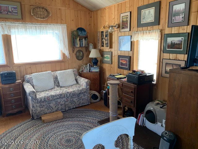 131 Denali Highway, Cantwell, Alaska image 5