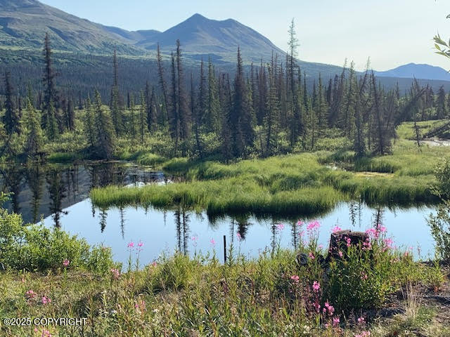 131 Denali Highway, Cantwell, Alaska image 23