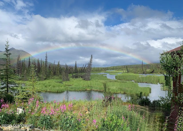 131 Denali Highway, Cantwell, Alaska image 25