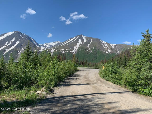 131 Denali Highway, Cantwell, Alaska image 30