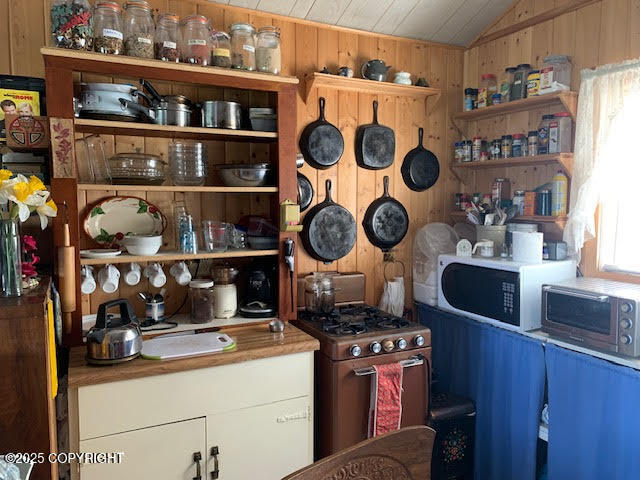 131 Denali Highway, Cantwell, Alaska image 4