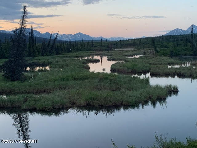 131 Denali Highway, Cantwell, Alaska image 29