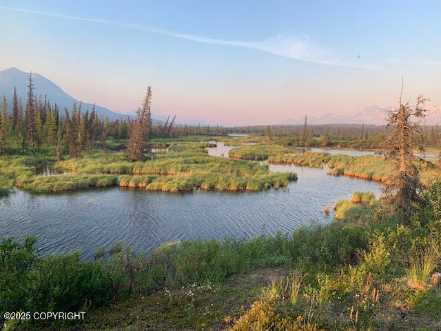 131 Denali Highway, Cantwell, Alaska image 28