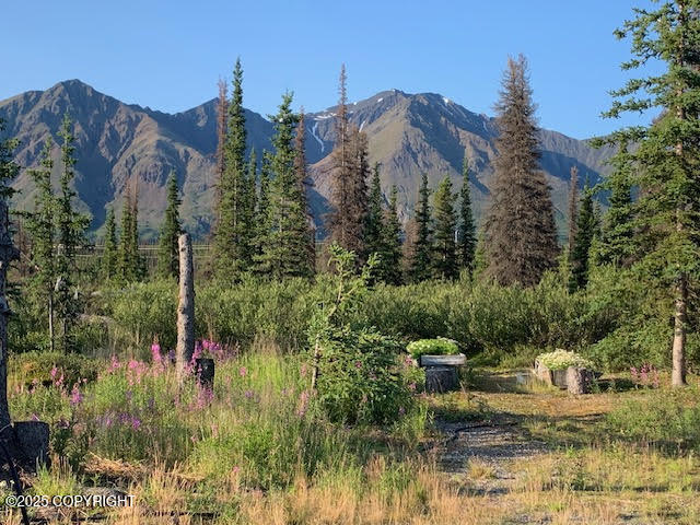131 Denali Highway, Cantwell, Alaska image 22