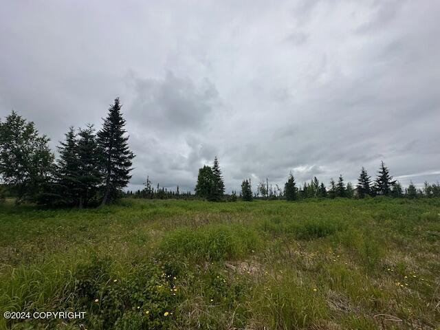 25904 Pepper Road, Anchor Point, Alaska image 14