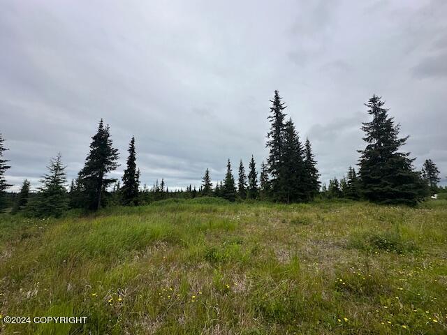 25904 Pepper Road, Anchor Point, Alaska image 11