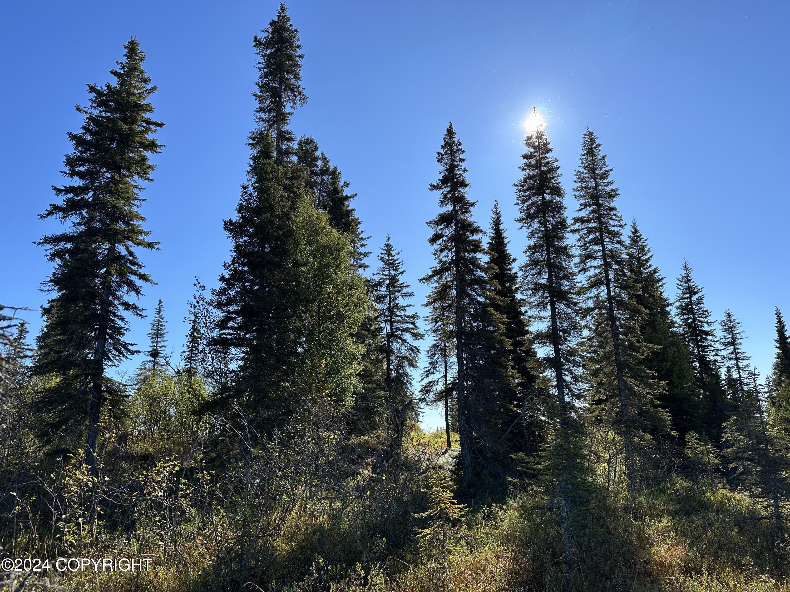 25904 Pepper Road, Anchor Point, Alaska image 5