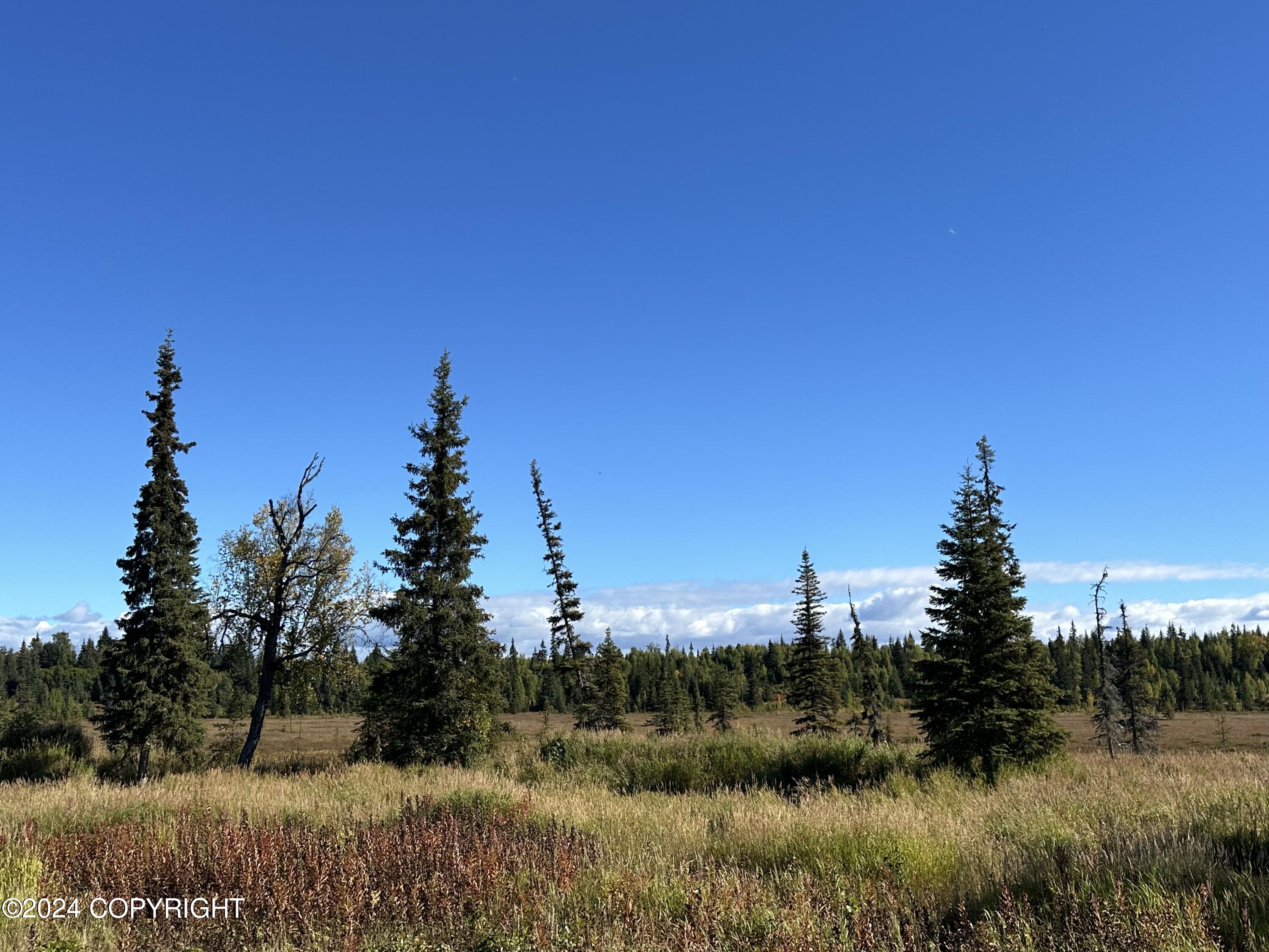 25904 Pepper Road, Anchor Point, Alaska image 6
