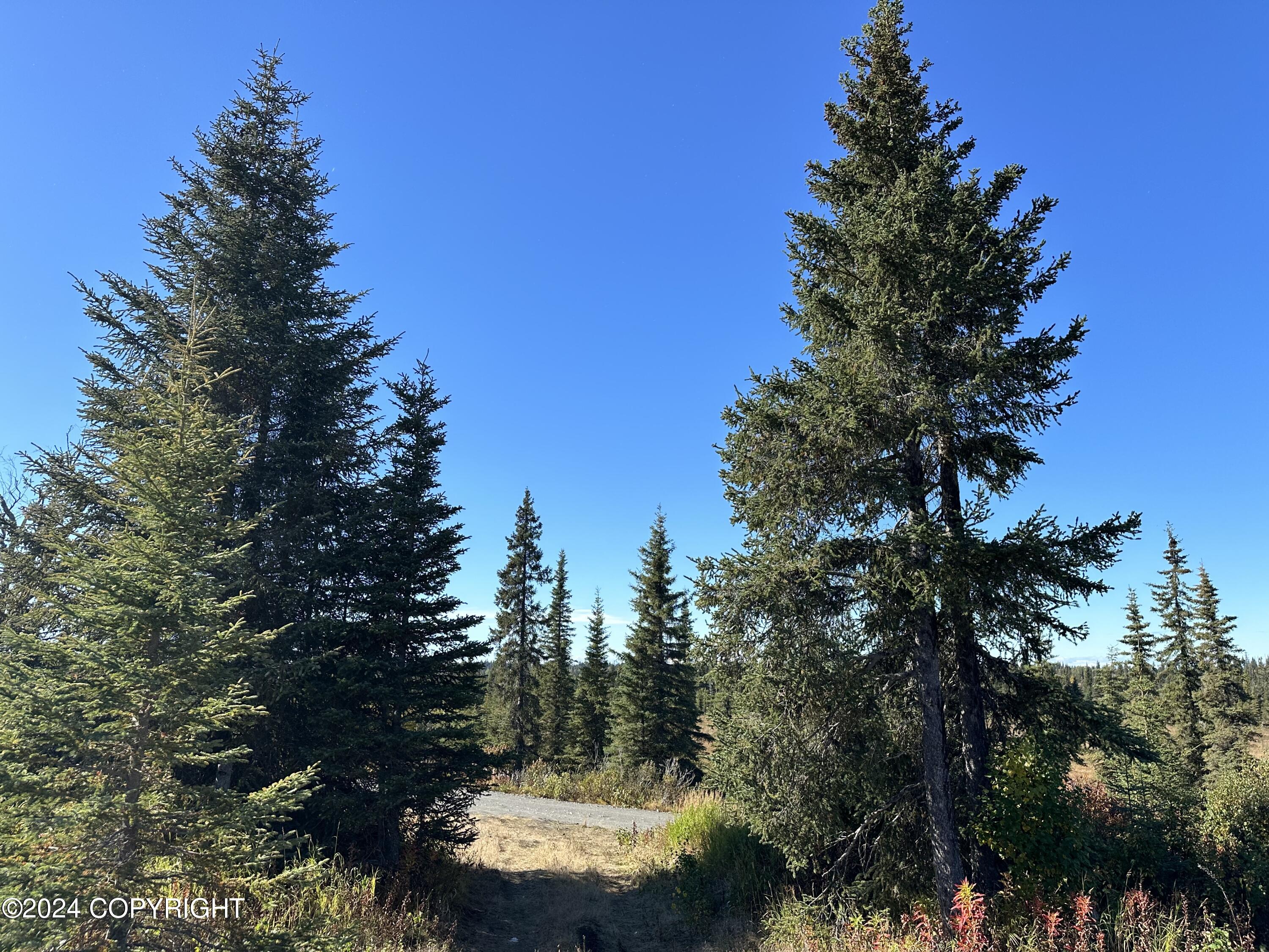 25904 Pepper Road, Anchor Point, Alaska image 4