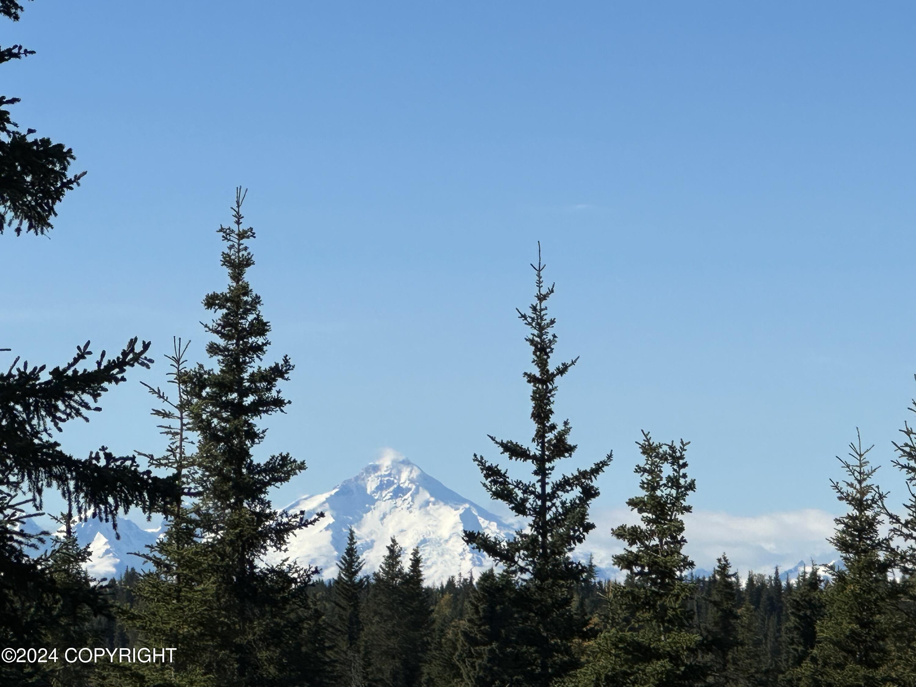25904 Pepper Road, Anchor Point, Alaska image 1