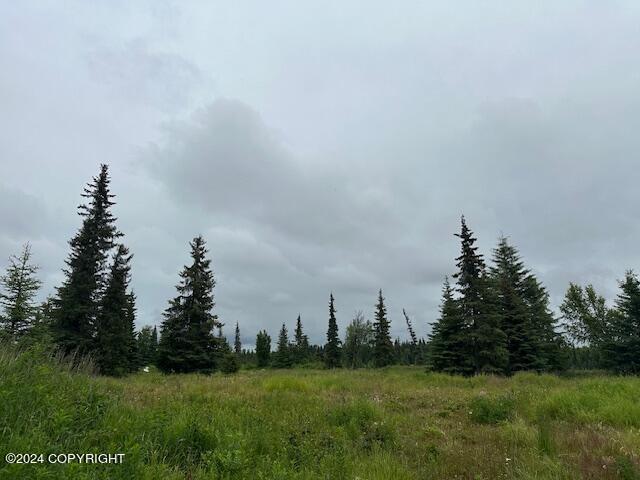 25904 Pepper Road, Anchor Point, Alaska image 13