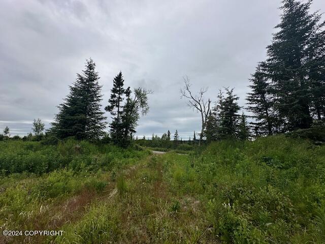 25904 Pepper Road, Anchor Point, Alaska image 10