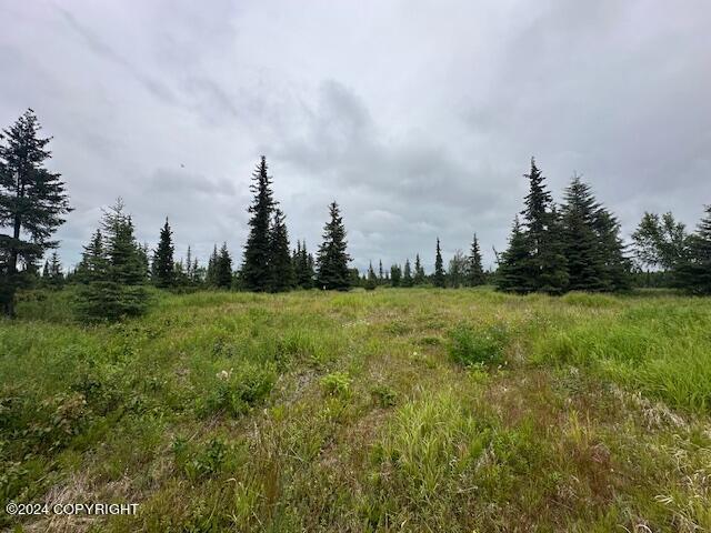 25904 Pepper Road, Anchor Point, Alaska image 15