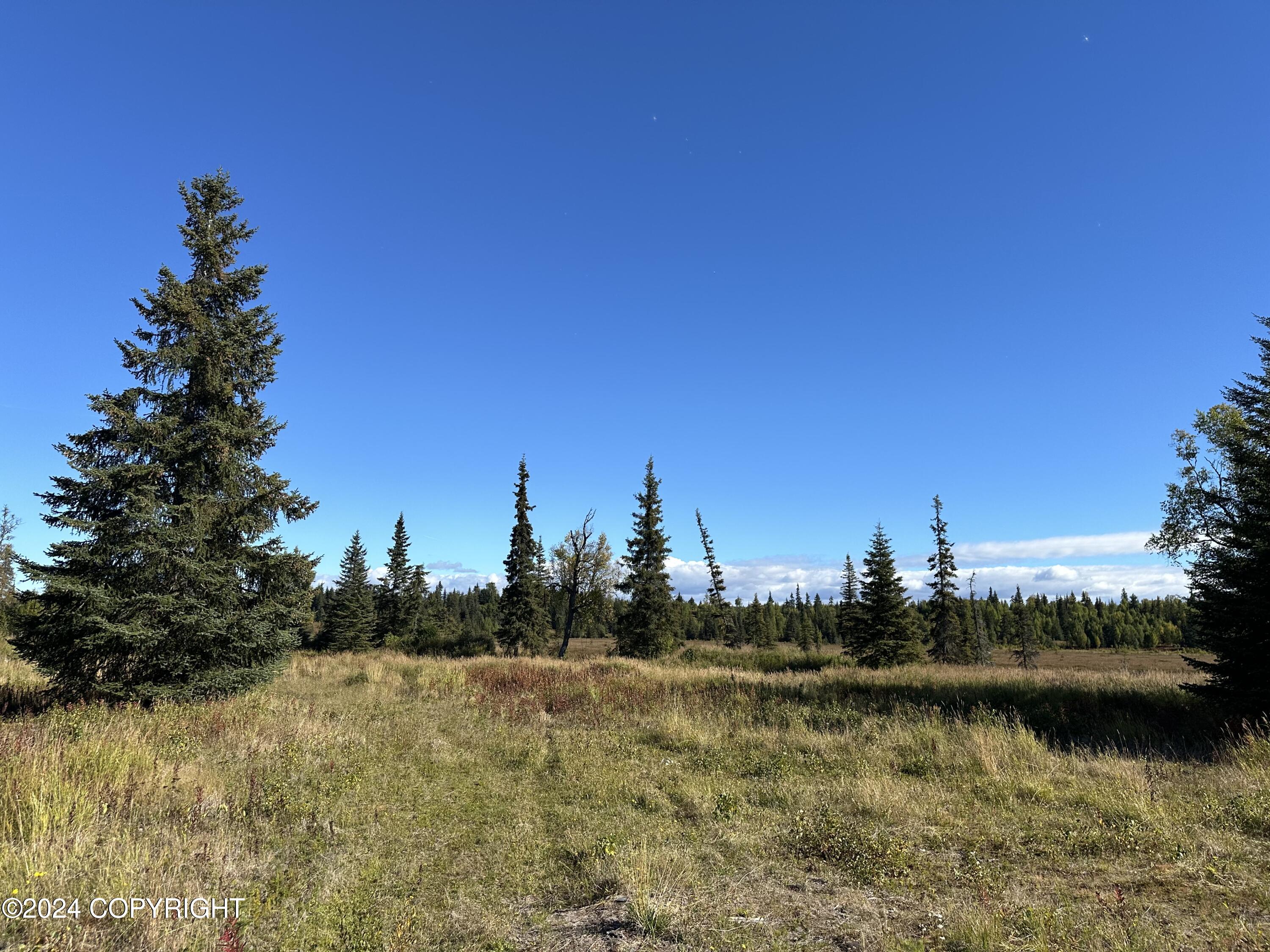 25904 Pepper Road, Anchor Point, Alaska image 3