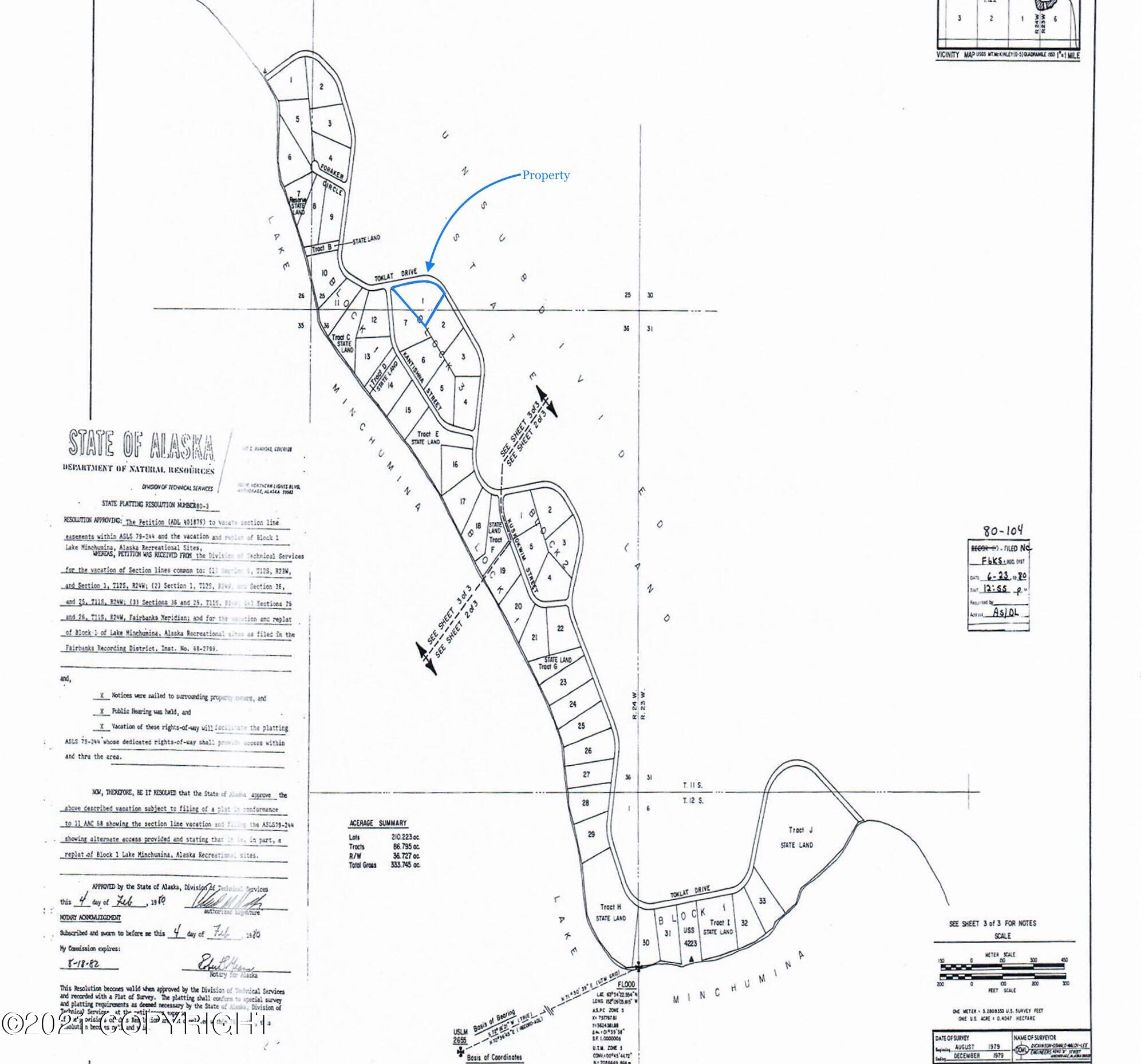 L1B3 Toklat Drive, Lake Minchumina, Alaska image 13