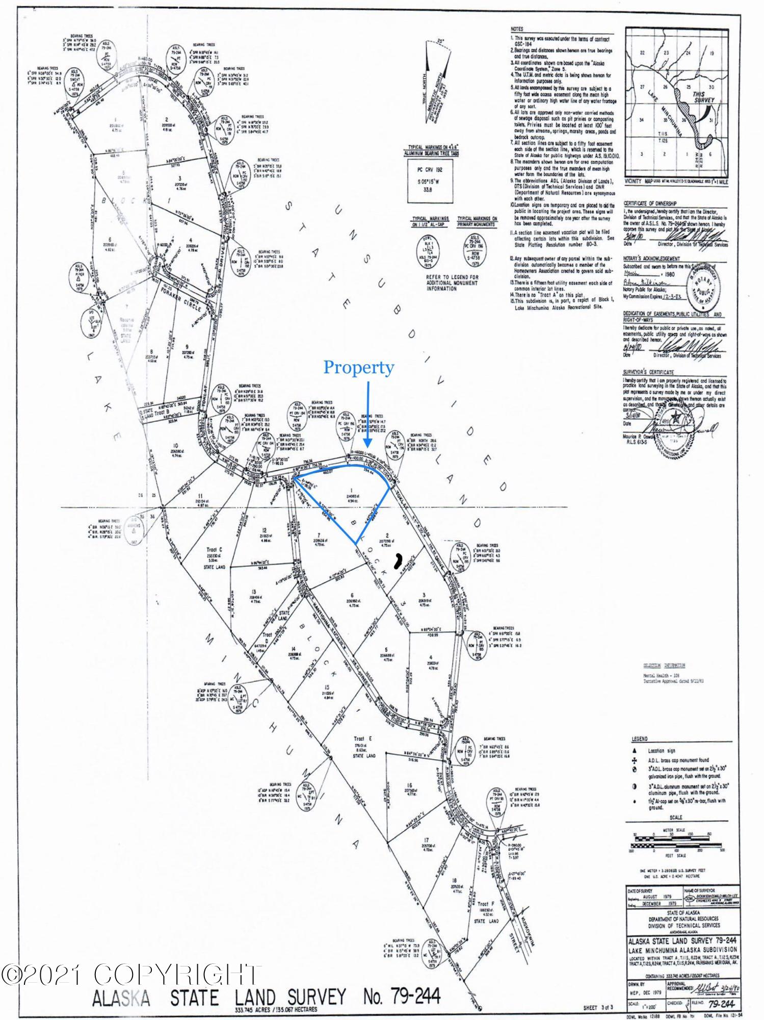 L1B3 Toklat Drive, Lake Minchumina, Alaska image 14