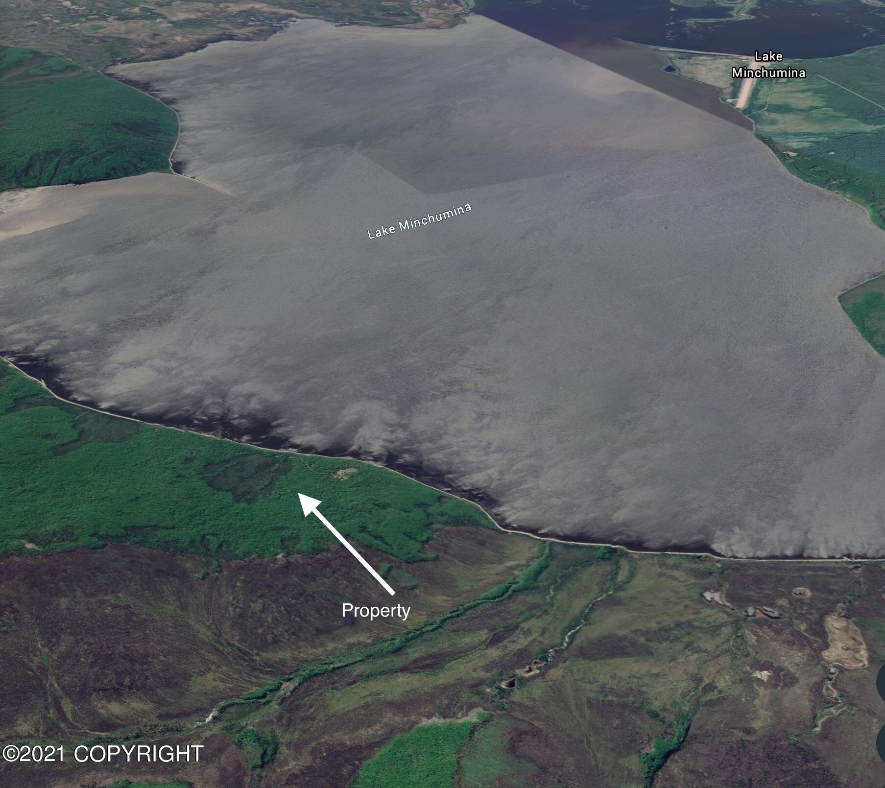 L1B3 Toklat Drive, Lake Minchumina, Alaska image 2