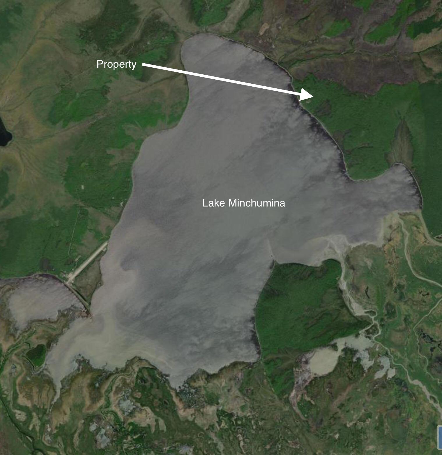 L1B3 Toklat Drive, Lake Minchumina, Alaska image 5