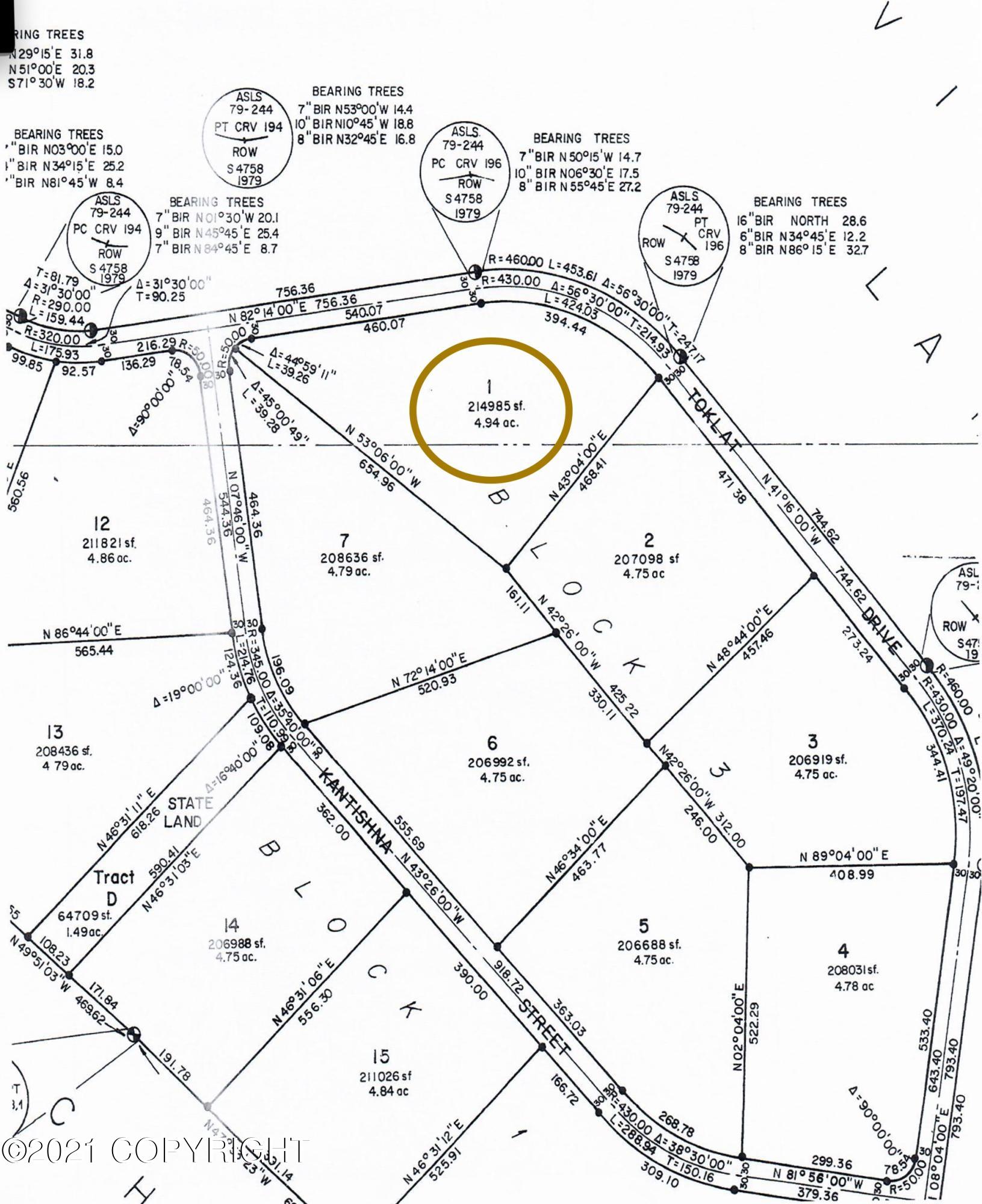 L1B3 Toklat Drive, Lake Minchumina, Alaska image 15