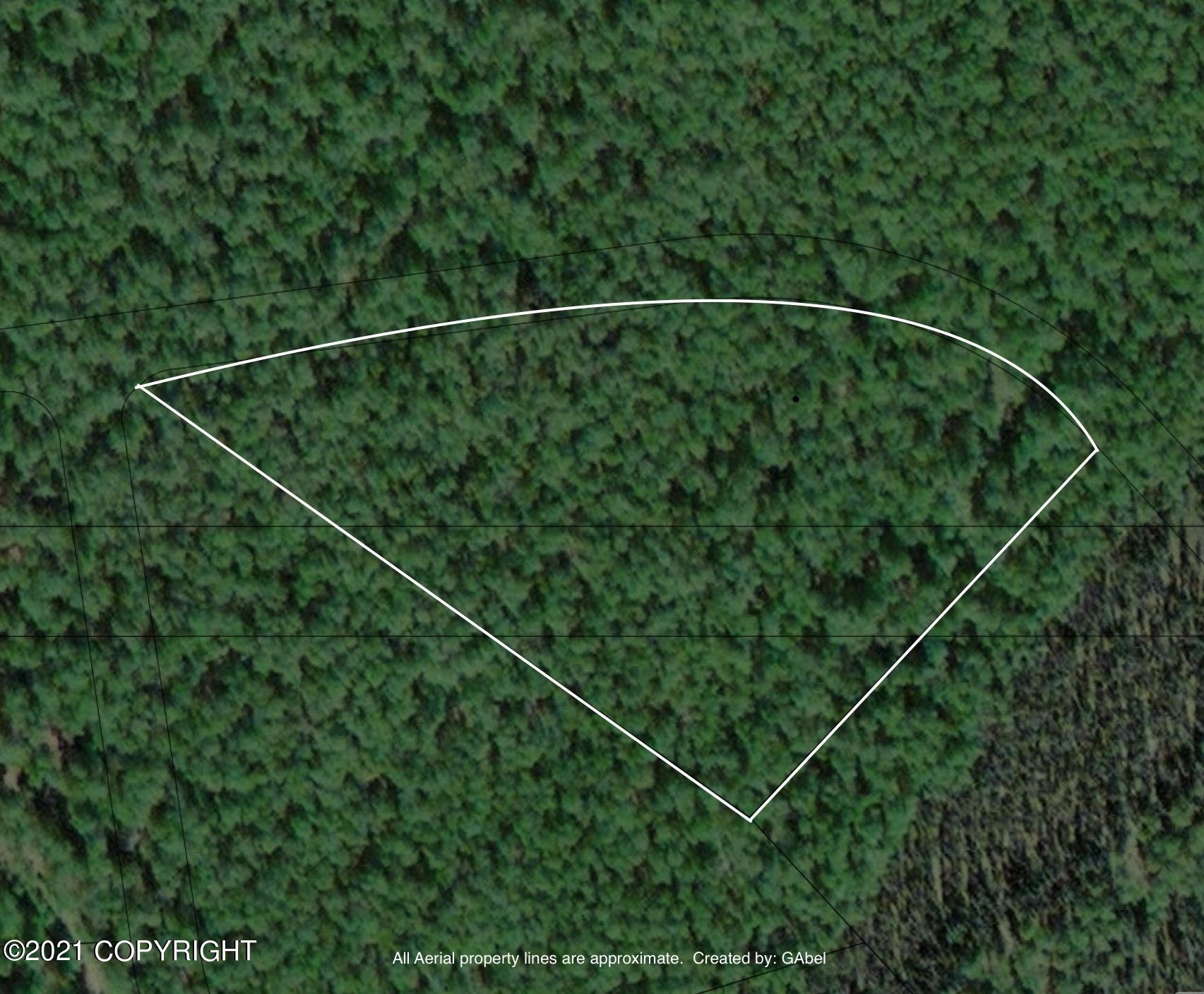 L1B3 Toklat Drive, Lake Minchumina, Alaska image 7