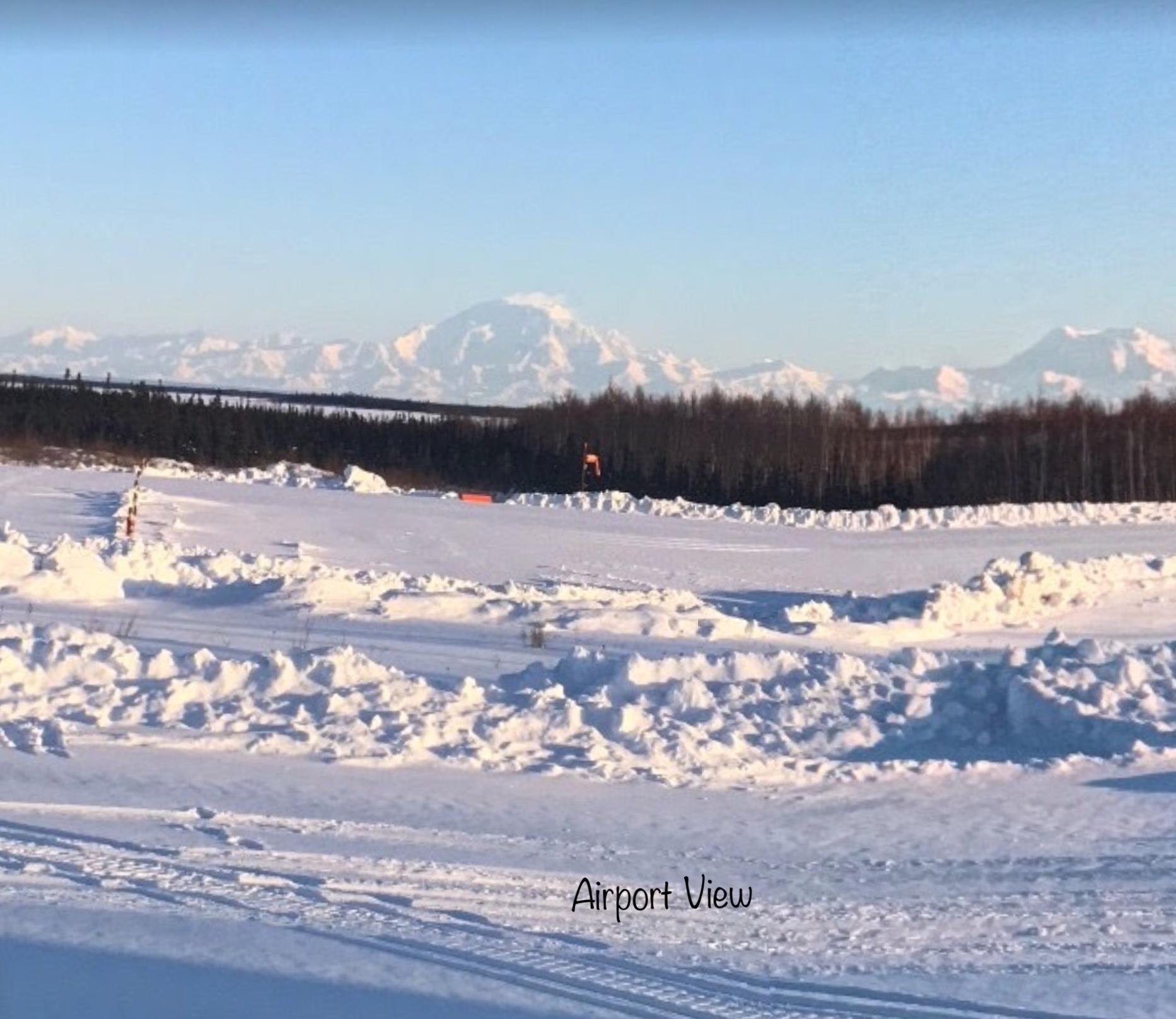 L1B3 Toklat Drive, Lake Minchumina, Alaska image 10