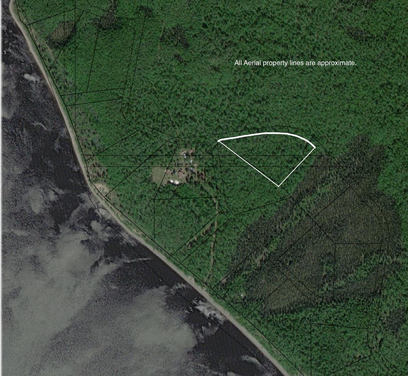 L1B3 Toklat Drive, Lake Minchumina, Alaska image 6