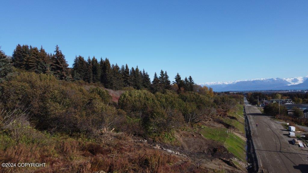 Lot 3 W Fairview Avenue, Homer, Alaska image 10