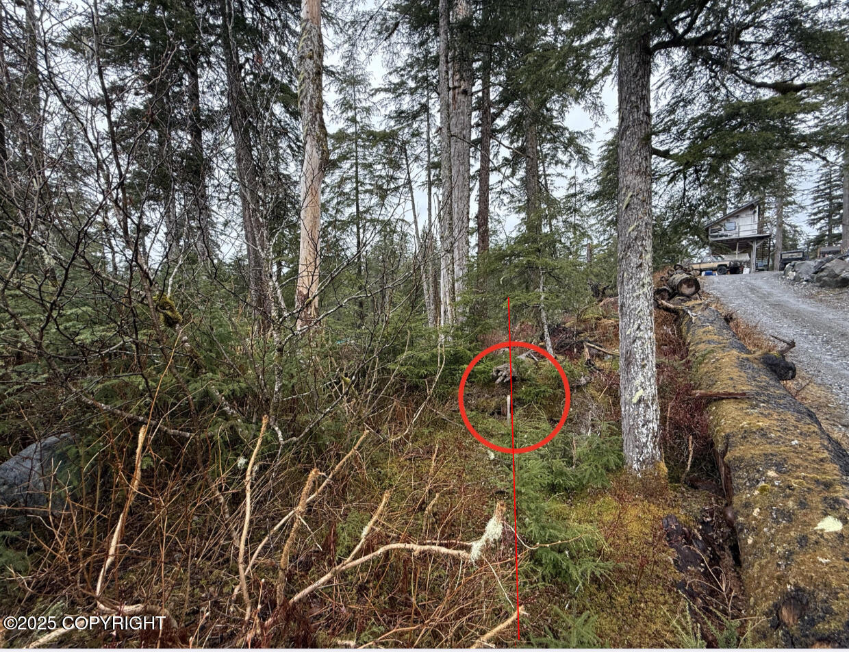 254 Lake Street, Yakutat, Idaho image 6
