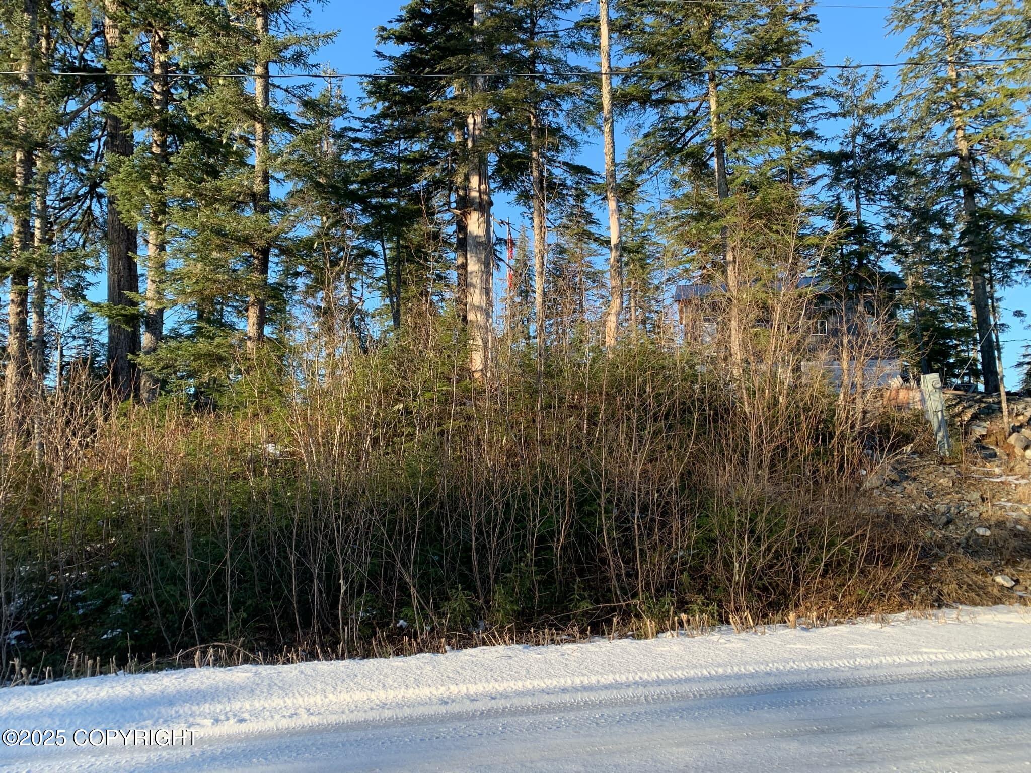 254 Lake Street, Yakutat, Idaho image 2