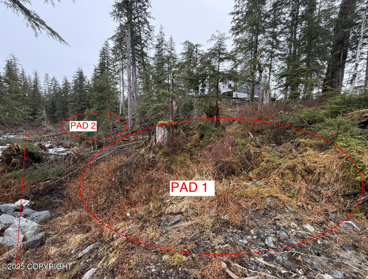 254 Lake Street, Yakutat, Idaho image 1