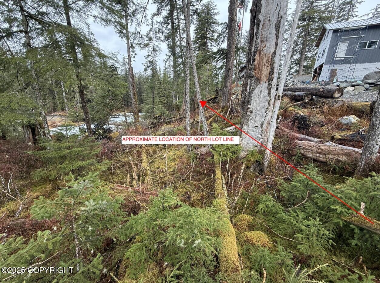 254 Lake Street, Yakutat, Idaho image 10
