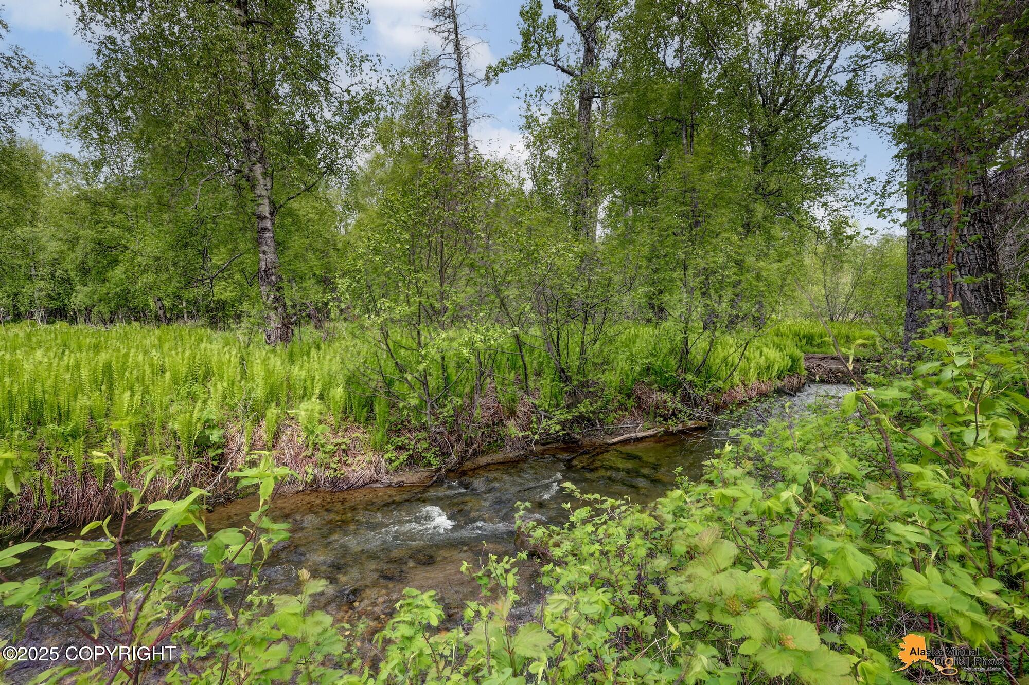 7664 N Showers Street, Palmer, Alaska image 43